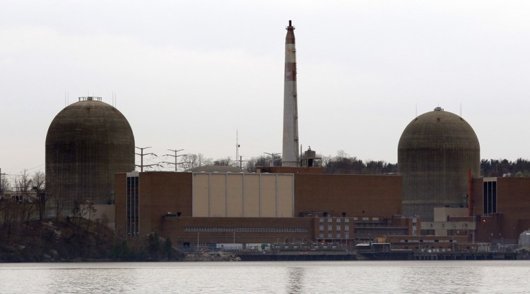 The Indian Point nuclear power plant in Buchanan, New York, is seen from across the Hudson River, in this April 6, 2010 file picture.