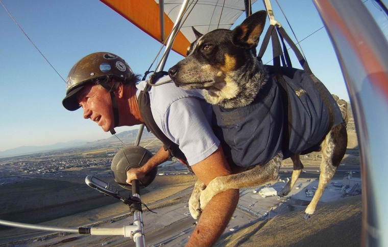 Dan McManus and his service dog Shadow hang glide together.