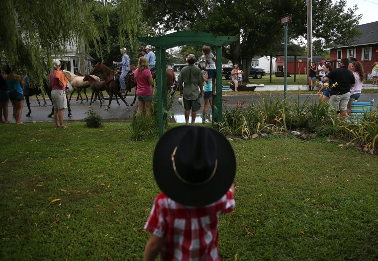 Wearing a cowboy hat, Owen Waterfield watches as wild ponies are herded down the street toward the fairgrounds after they swam across the Assateague Channel on July 24, 2013.