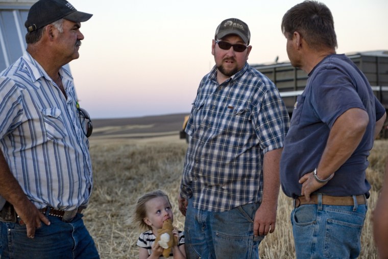 Bryan Cranston, center, talks to neighbor Gary Brown, right, and fellow wheat farmer Lee von Borstel as his 2-year-old daughter, Claire, waits patiently by her father's side to go home.