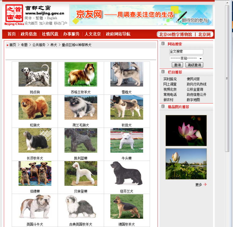 The Beijing Municipal Government's website shows the 41 breeds of dogs that are banned from the city limits for being