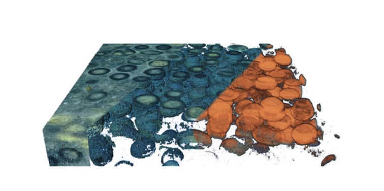 This 3D model reveals the inside of an oolite – a rock containing sand grains coated in concentric layers of calcium carbonate.