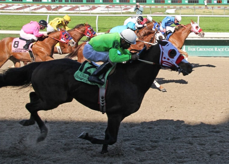 Cleared to race? Cloned quarter horses get victory in federal court