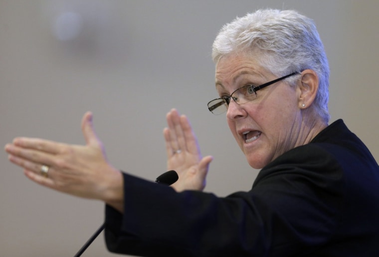 During Gina McCarthy's first speech as the head of the EPA on July 30, she told an audience that curbing climate-altering pollution will strengthen the economy.