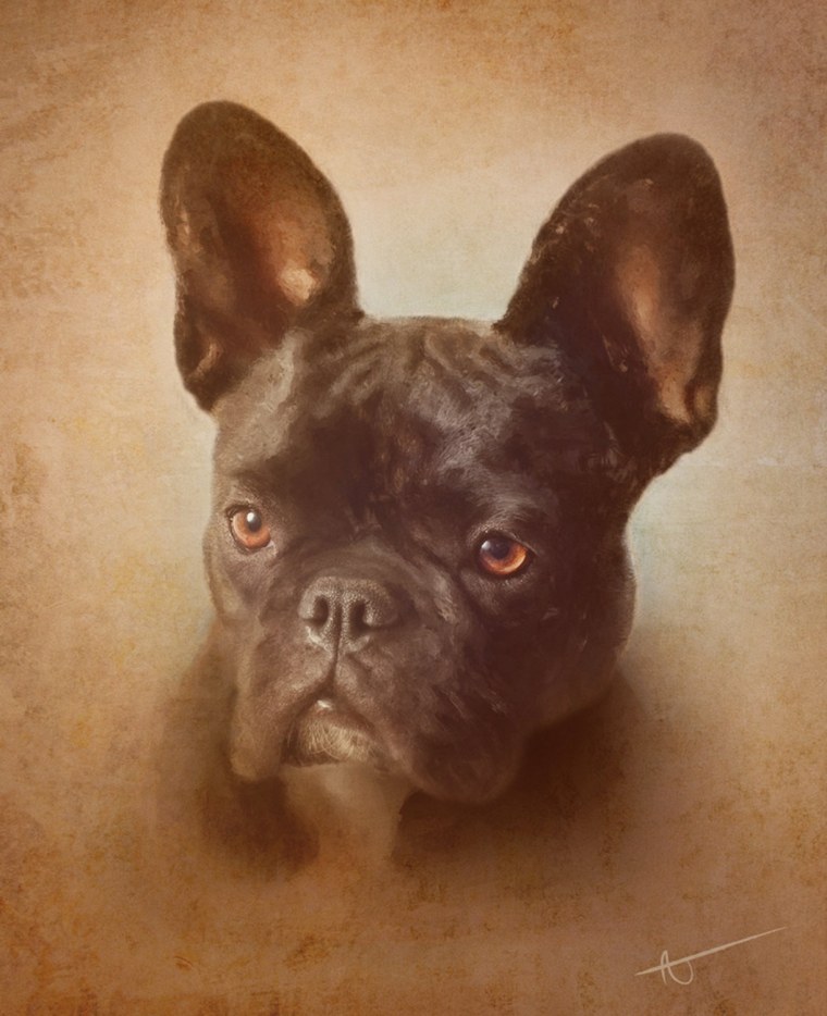 Florida artist A.J. Brockman painted this portrait of Lenny, Susan Spencer-Wendel's French bulldog. Brockman has spinal muscular atrophy and uses two ...