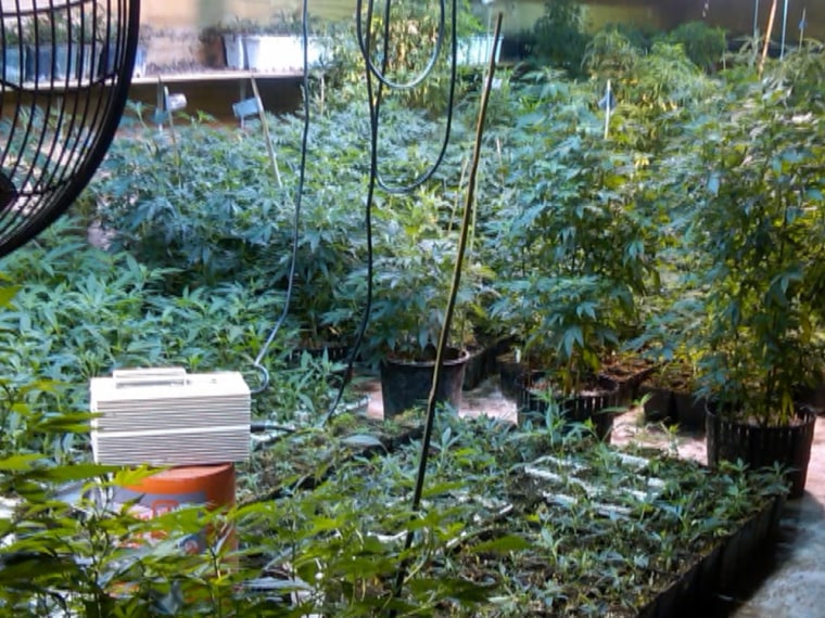 Scarsdale mom accused of running multimillion-dollar marijuana ring.