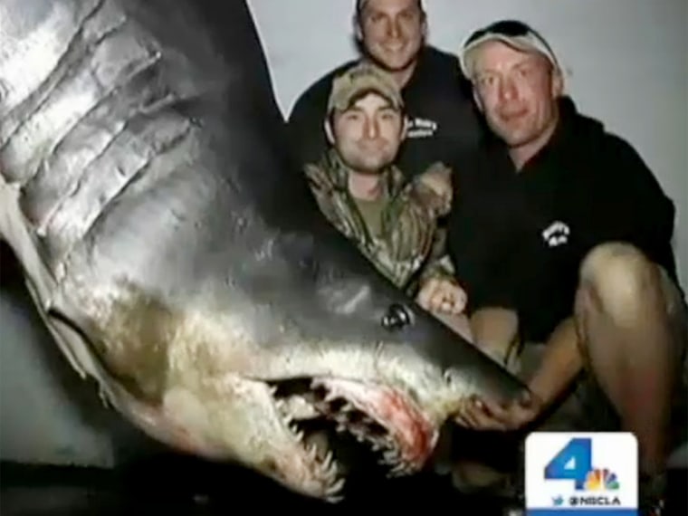 Fishermen on a boat out of Huntington Beach, Calif., caught a potentially world record-breaking mako shark that weighed 1,323.5 pounds.