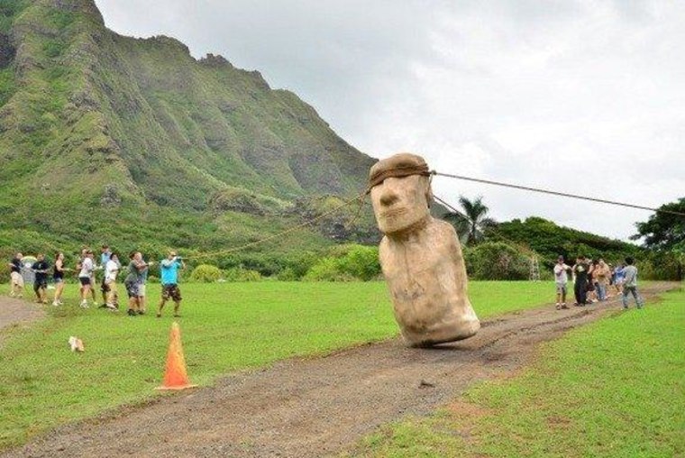 An Easter Island statue being walked into place.