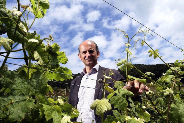 Marquise Lamberto Frescobaldi, a member of the winemakers family of the finest wine in Tuscany, is seen in front of his vineyard in Gorgona island.