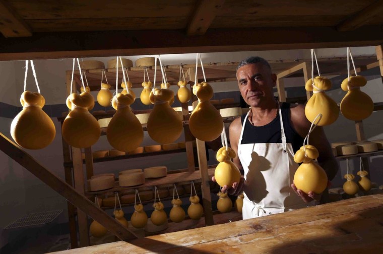 Benedetto Ceraulo, prisoner in the Gorgona penal colony, holds up cheese from Frescobaldi's cheese factory on Gorgona island on June 11, 2013.