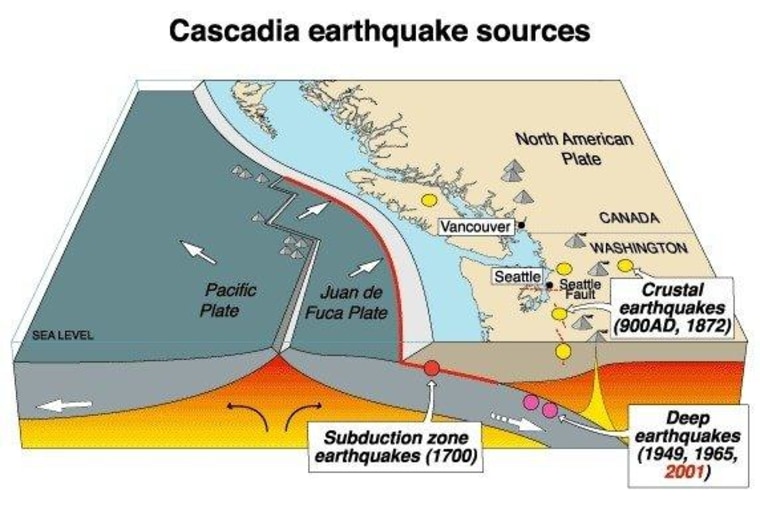 A cross-section of a portion of the Cascadia subduction zone.