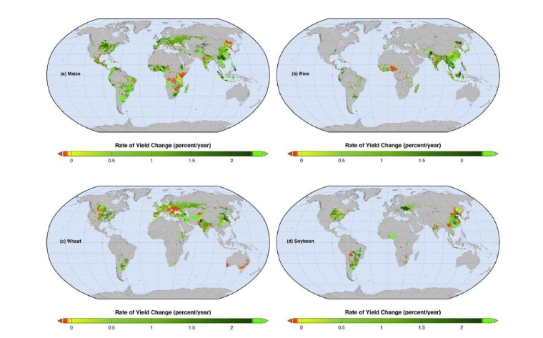 Global map of current percentage rates of changes in (a) maize, (b) rice, (c) wheat, and (d) soybean yields. Red areas show where yields are declining whereas the fluorescent green areas show where rates of yield increase – if sustained – would double production by 2050.