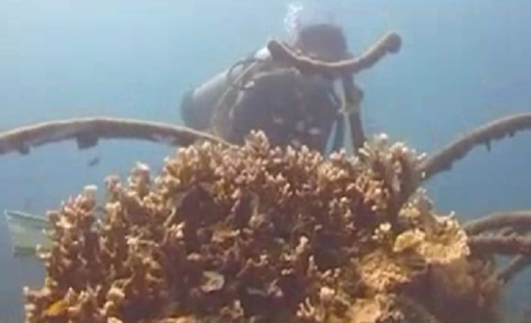 Metallic structures with a low level electric current provoke limestone formations that attract coral growth. The technology is proving effective at restoring reefs around the world, including Bali.