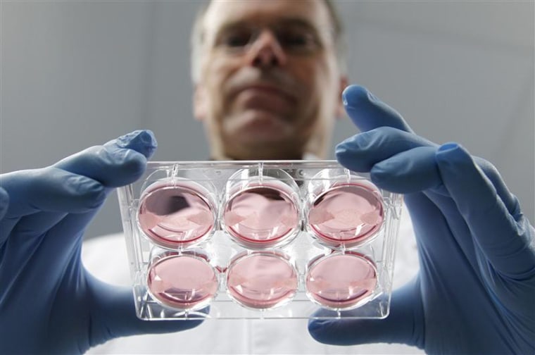 Dutch scientist Mark Post displays samples of lab-grown meat at the University of Maastricht.