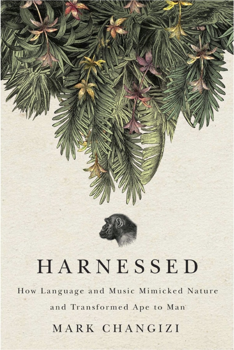 \"Harnessed,\" a new book by neurobiologist Mark Changizi, focuses on the origins of music - and how music helped shape humanity.