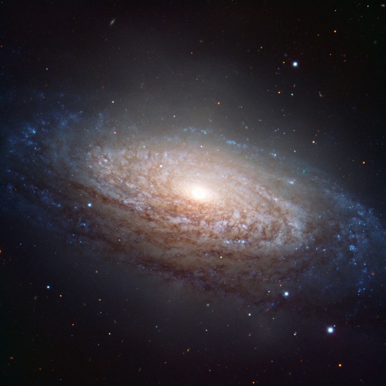 This picture of the nearby galaxy NGC 3521 was taken using the FORS1 instrument on the European Southern Observatory's Very Large Telescope in Chile. The large spiral galaxy lies in the constellation of Leo and is only 35 million light-years distant. This picture was created from exposures taken through three different filters that passed blue light, yellow/green light and near-infrared light. These are shown in this picture as blue, green and red, respectively.