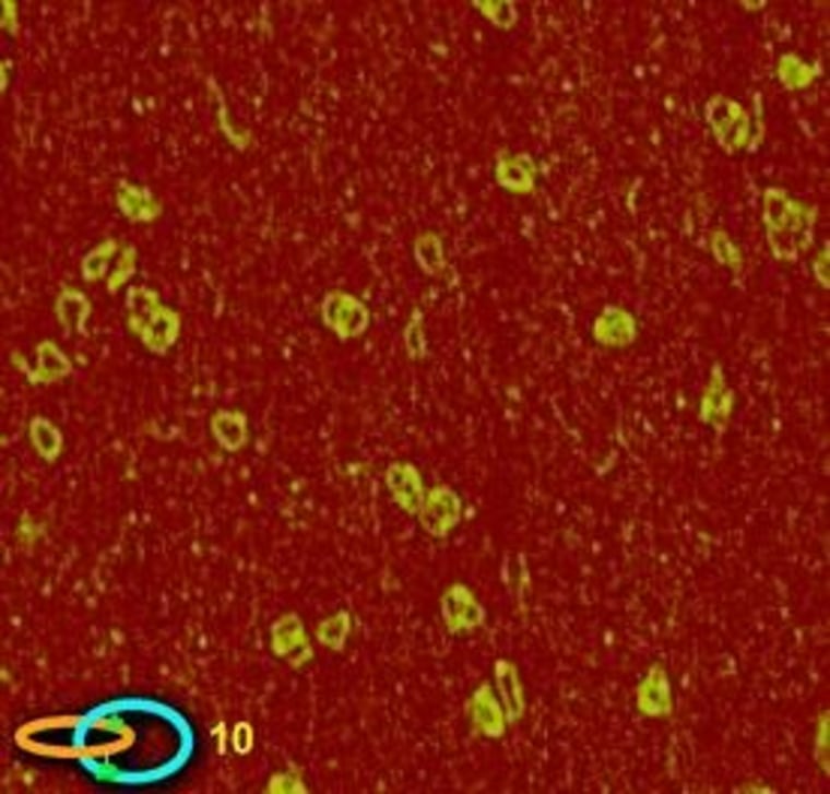'Wedding rings' made out of DNA