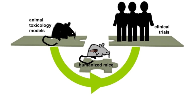 Smart laser cutter system detects different materials, MIT News