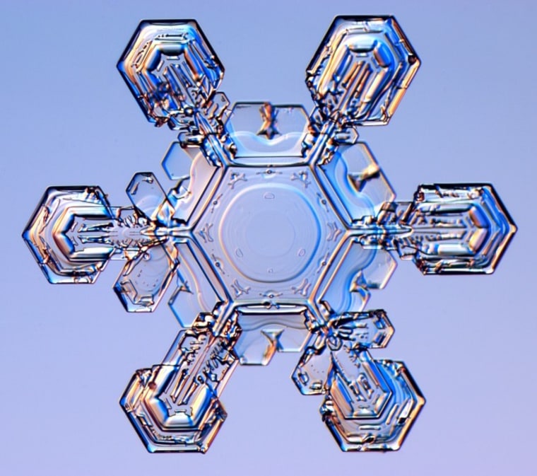 Caltech physicist Kenneth Libbrecht's extreme close-ups of snowflakes have earned him this year's Lennart Nilsson Award for scientific photography.