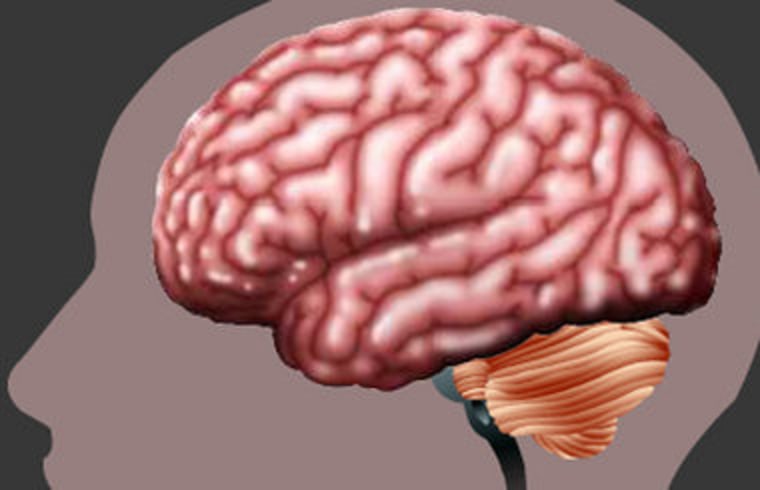 What makes the brain tick? Click through an online "road map" to the regions of the brain and their functions.
