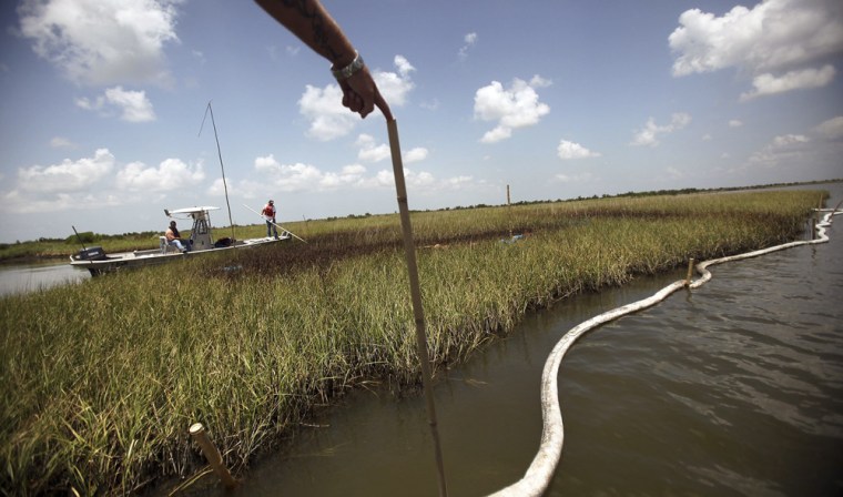 Workers use absorbent boom to clean oil from a marsh on July 15 near Cocodrie, La. Oil cleanup technologies have lagged behind oil exploration technologies, but the $1.4 million Wendy Schmidt Oil Cleanup X Challenge could help change that.
