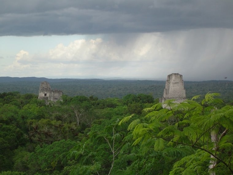 Maya1