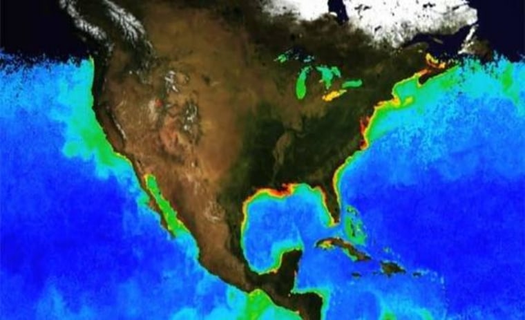 Some U.S. coastal waters resist ocean acidification better than others.