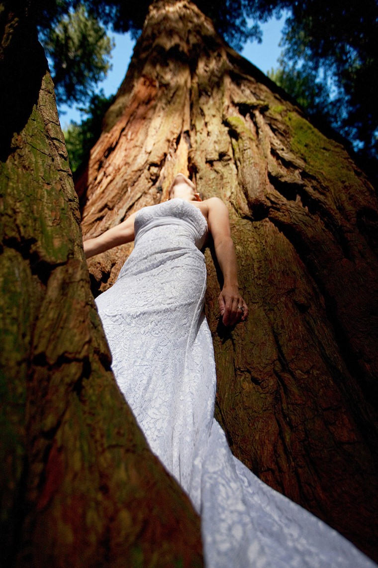 The dress in the Redwood Forest.