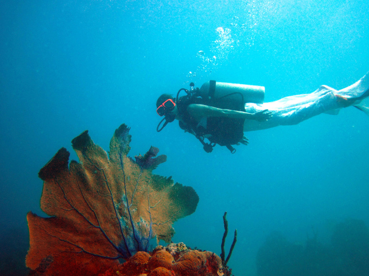 She took the dress underwater in Jamaica.