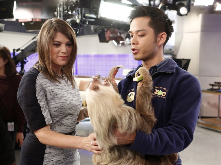 TODAY -- Pictured: (l-r) Gail Simmons, C.C. The Sloth and Marc Valitutto appear on NBC News' \"Today\" show -- (Photo by: Peter Kramer/NBC/NBC NewsWire)
