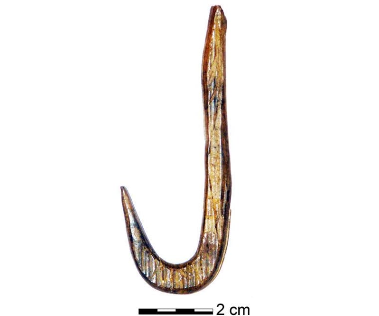 Fishhooks used by ice age reindeer hunters unearthed