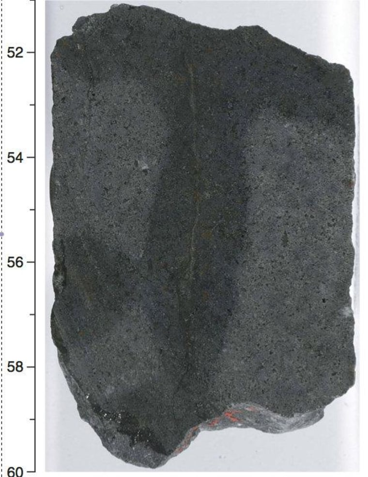 A basalt rock containing microbial life from deep within Earth's crust. The fine crack in the middle is a vein that remained free of contamination during the drilling process. The darker area surrounding it indicates water diffusing from the vein into the surrounding rock.