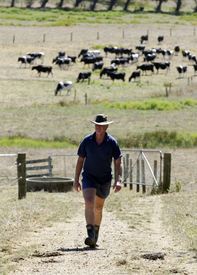 Fields are turning from their normal green to a dry and crunchy brown as the drought worsens.