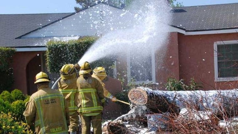 Firefighters use foam and water to attack a bee swarm that wound up killing a pit bull puppy at a North Hollywood home.