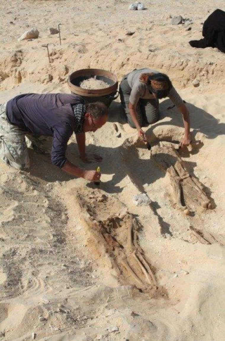 Archaeologists have unearthed an ancient cemetery at the Egyptian city of Amarna. The cemetery held the commoners, rather than the elites, of the city.