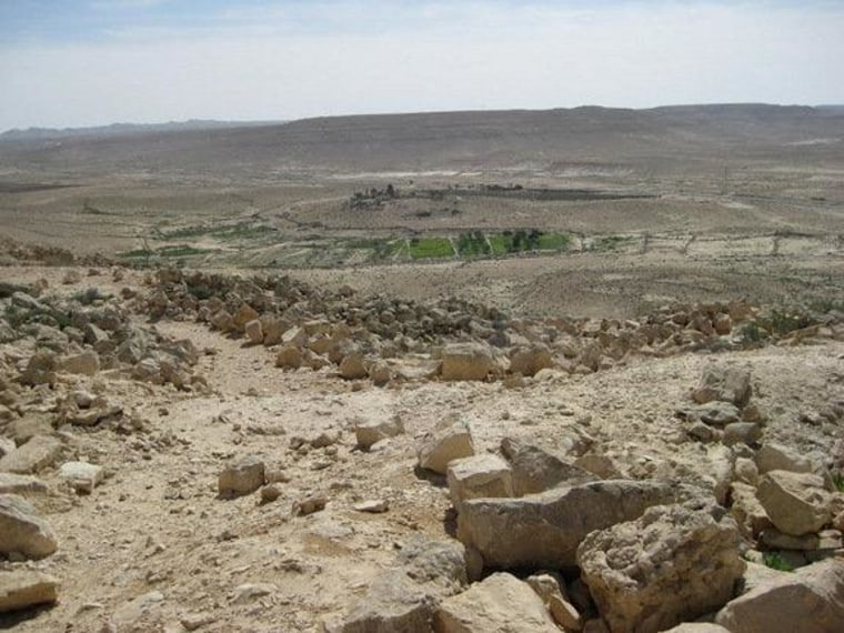 By using walls to channelize and collect floodwaters, ancient farmers made the most of scant rainfall to grow crops in the desert. These techniques are still used today, like in this field outside the old city of Avdat, Israel.