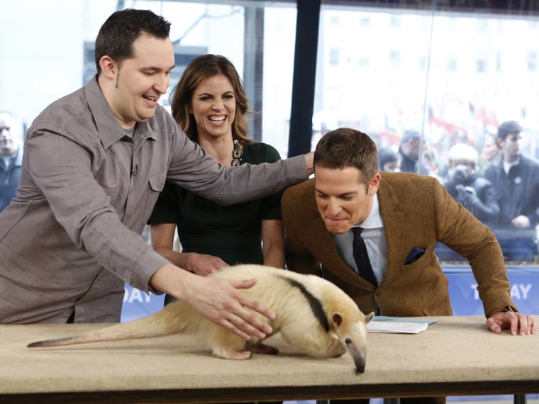 TODAY -- Pictured: (l-r) Jeff Musial, Natalie Morales and Jason Kennedy appear on NBC News' \"Today\" show -- (Photo by: Peter Kramer/NBC/NBC NewsWire)