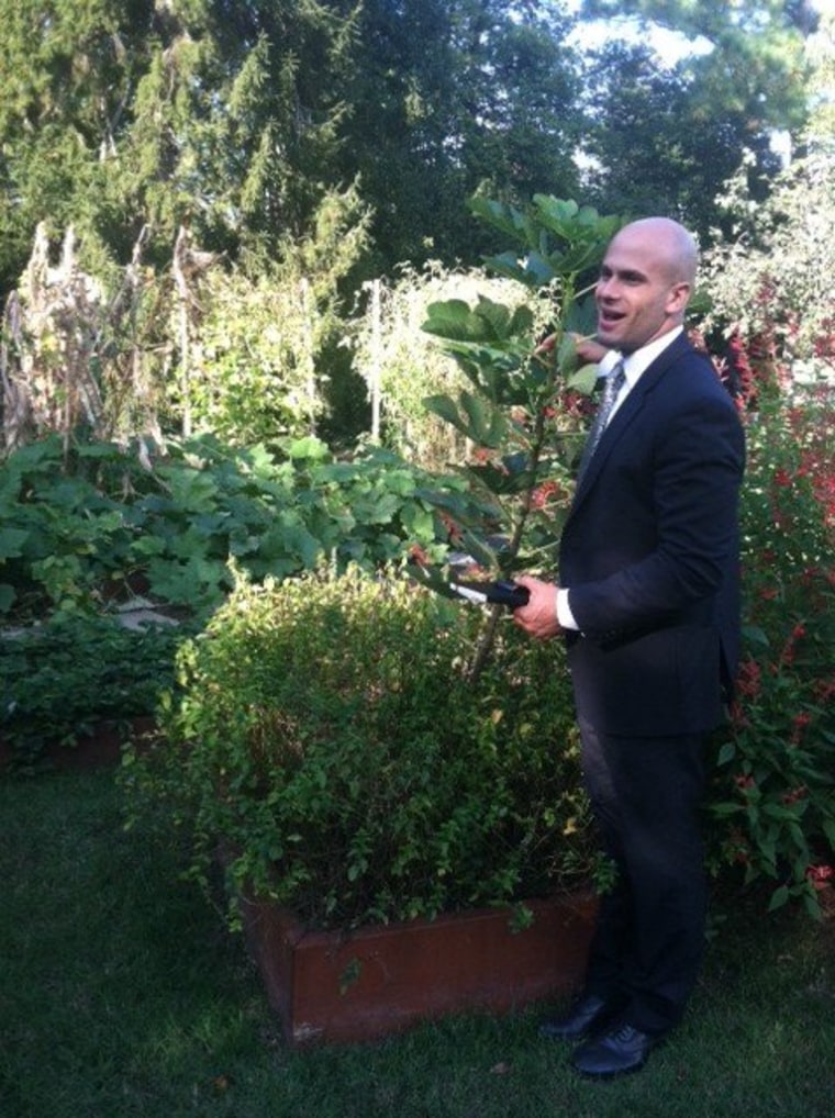 Sam Kass, showing off a fig tree in the White House garden Monday.