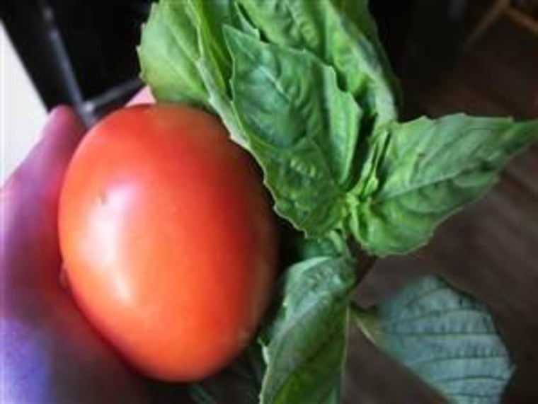 Tomato and basil used as ingredients in spaghetti dish.