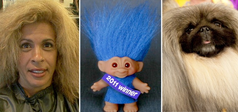 Hoda, a troll doll and Malachy the Pekingese. See any resemblance?