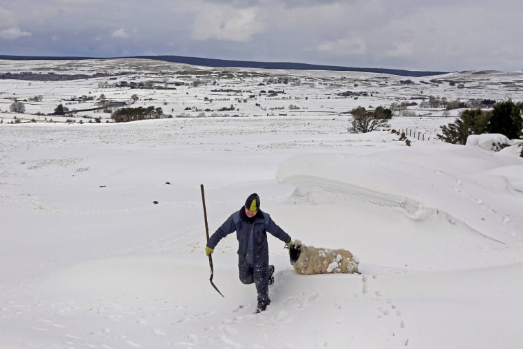 Donald O'Reilly rescues a sheep trapped in a snow drift in the Aughafatten area of County Antrim, Northern Ireland on March 26. At least 140,000 homes and businesses in Northern Ireland were left without power over the weekend following heavy snowfall, causing snowdrifts of up to 5 metres (18 feet).