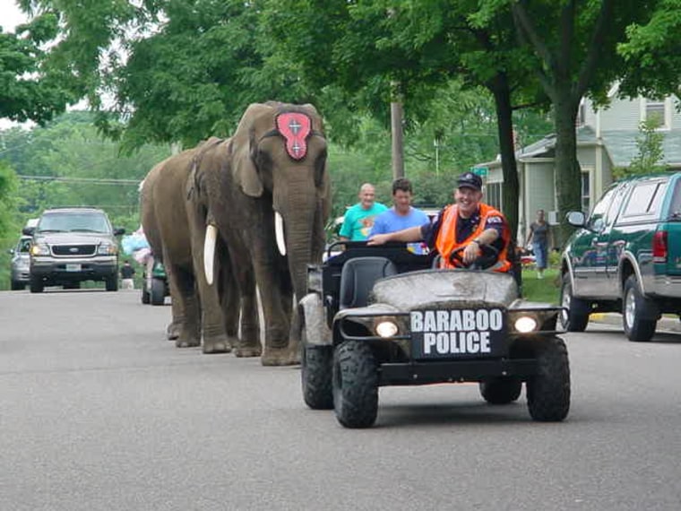 Elephant walks down street in parade