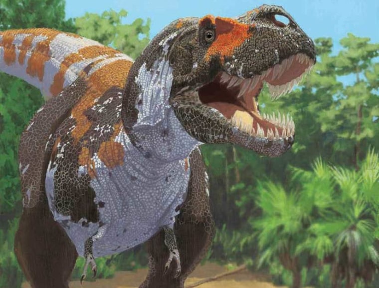 Experts say Tyrannosaurus rex may have had a downy layer of feathers, and probably had a coloration that was more varied than the stereotypical green.