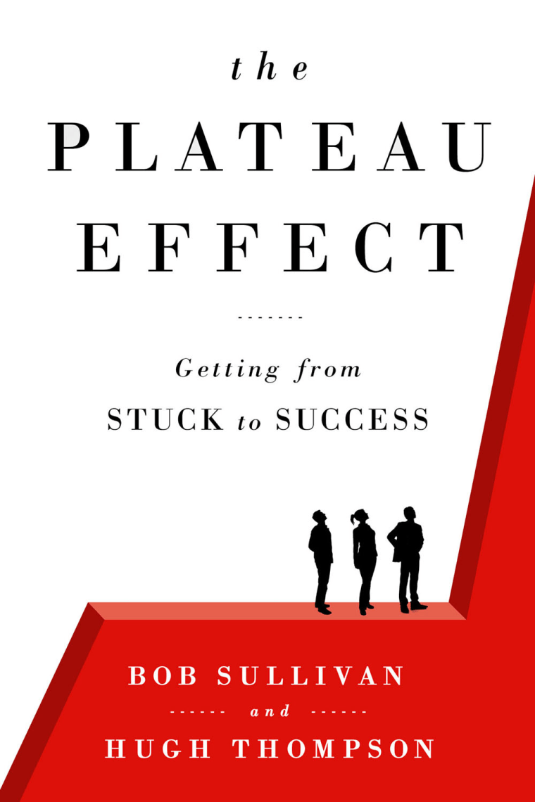 Image: Book cover for \"The Plateau Effect\"