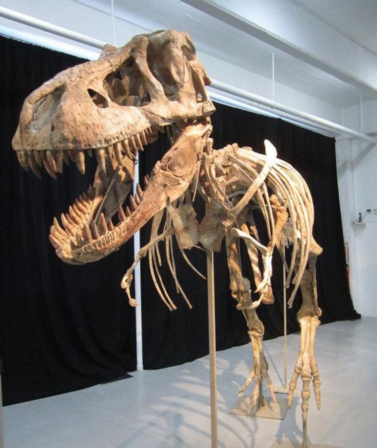 A Tarbosaurus bataar skeleton that sparked an international custody battle began its journey home on May 6, 2013, as Mongolian officials formally took possession of the fossilized bones of the T. rex-like predator.