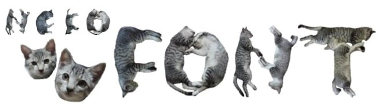 Neko Font