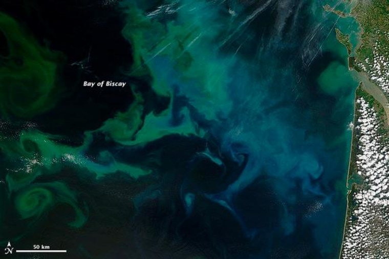 NASA's Terra satellite captured this natural-color image of phytoplankton blooms on May 4 in France's Bay of Biscay.