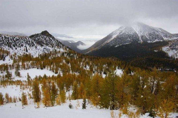 Rockies in tied springs warmer to snow Dwindling