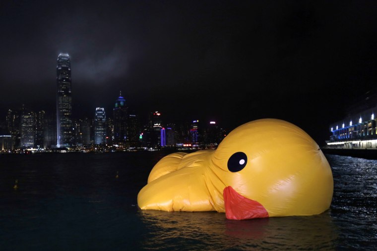A deflated Rubber Duck by Dutch conceptual artist Florentijn Hofman floats on Hong Kong's Victoria Harbour, with the island skyline looming at the background, May 14. The 16.5-meter-high inflatable sculpture, which made its first public appearance in the territory on May 2, will be shown at the Ocean Terminal for a month. The Rubber Duck was deflated after some of its parts broke.