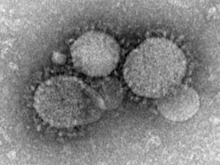 Novel MERS coronavirus particles as seen by negative stain electron microscopy.